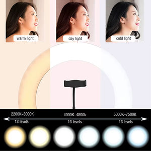 Photography Dimmable LED Selfie Ring Light with Phone Clip USB Plug for Tiktok Youtube Video Live Fill Lamp Photo Studio Light