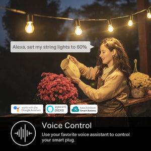 Kasa Outdoor Smart Plug, Smart Home Wi-Fi Outlet Timer, Max Load 15A/1875W, IP64 Weather Resistance, Compatible with Alexa, Google Home & Smartthings, No Hub Required, ETL Certified(Kp401)